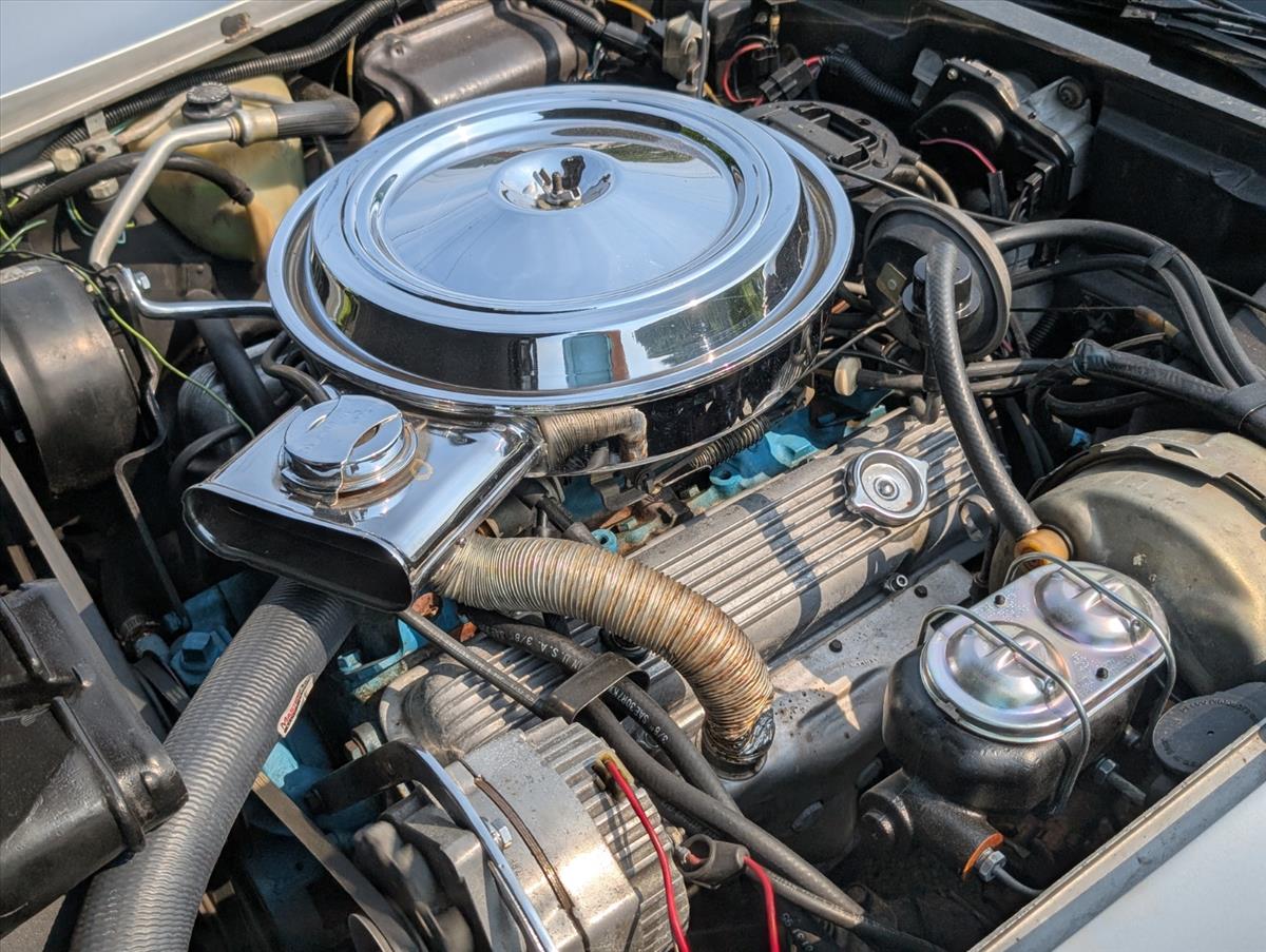 1978 Chevrolet Corvette 99