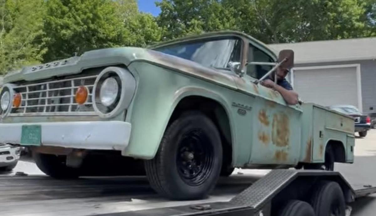 1965 Dodge D100 7